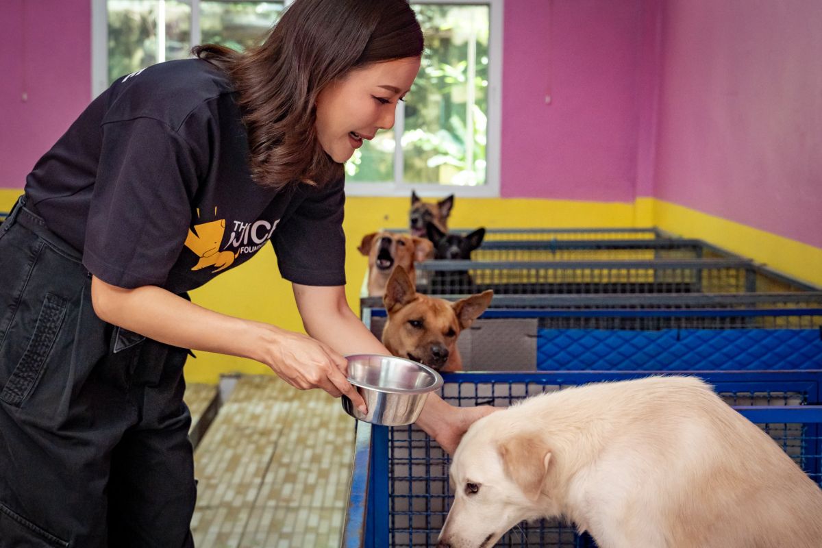 Kae offering a bowl to a dog in the ward, with the row of pens behind