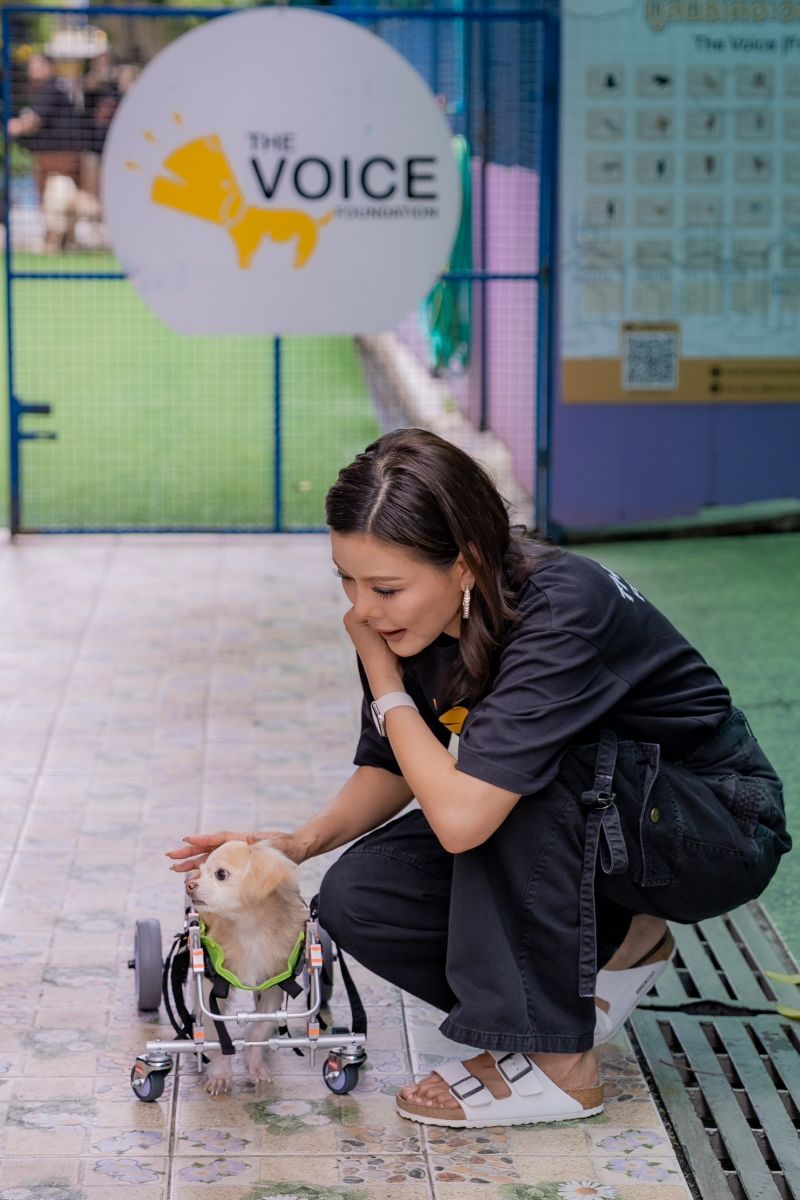 Kae crouching beside a dog in a wheelchair at the foundation gate
