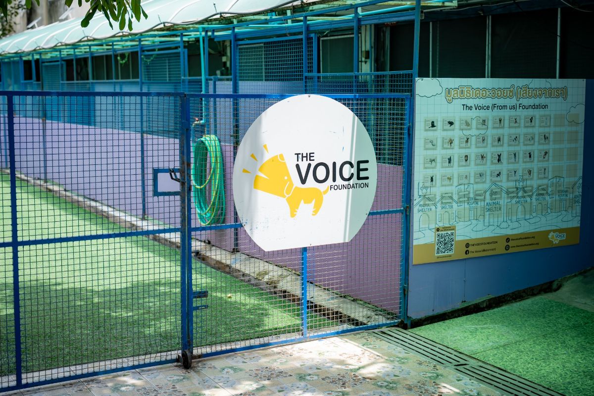 The Voice Foundation sign and adoption board at the gate