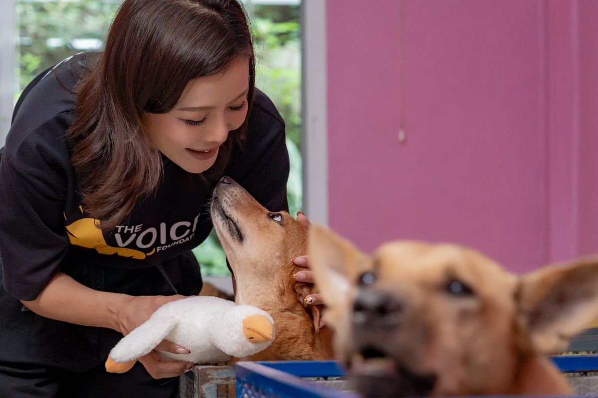 Kae nose to nose with a dog at The Voice Foundation