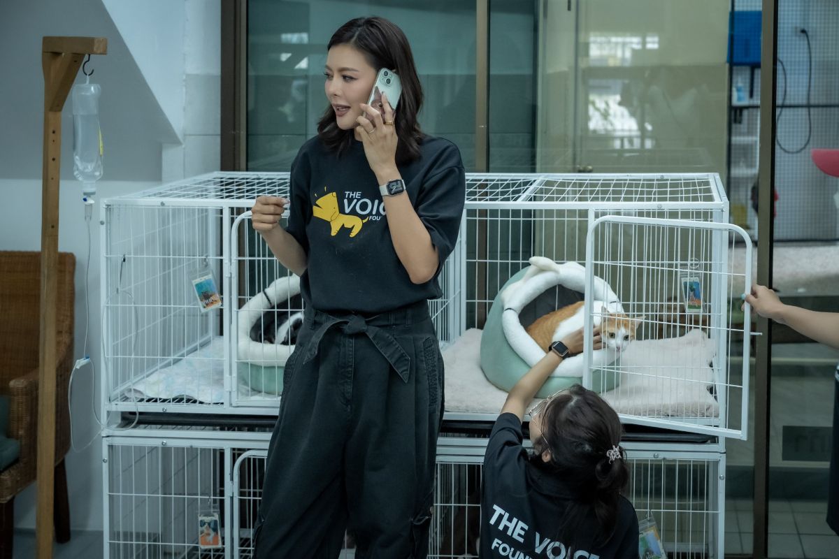 Kae on the phone beside the cat cages while a colleague tends to a patient