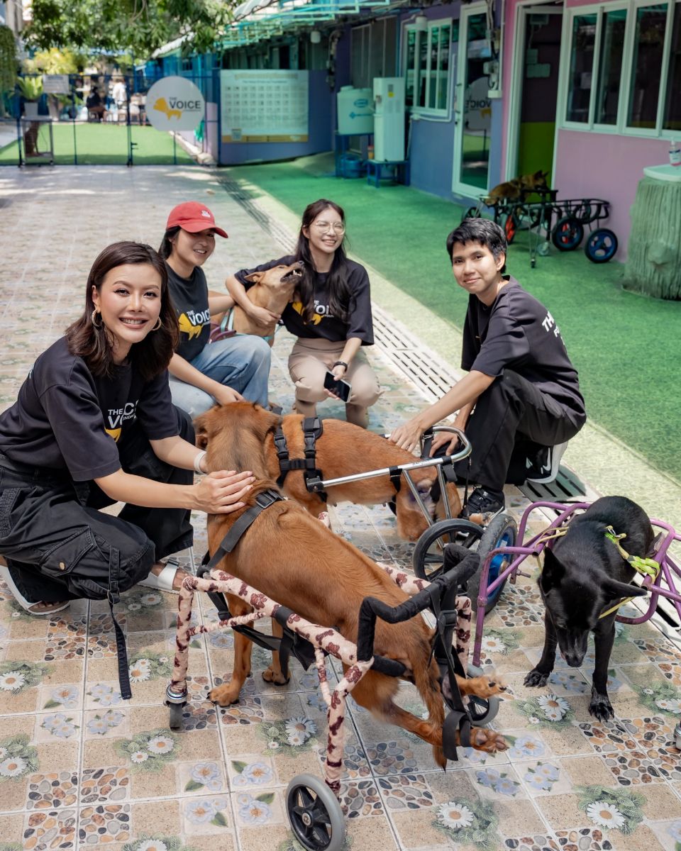 Kae and the team with three dogs in wheelchairs