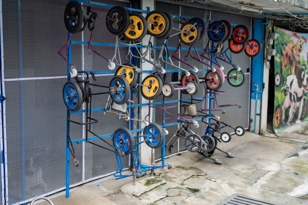 The wall of dog wheelchairs at The Voice Foundation